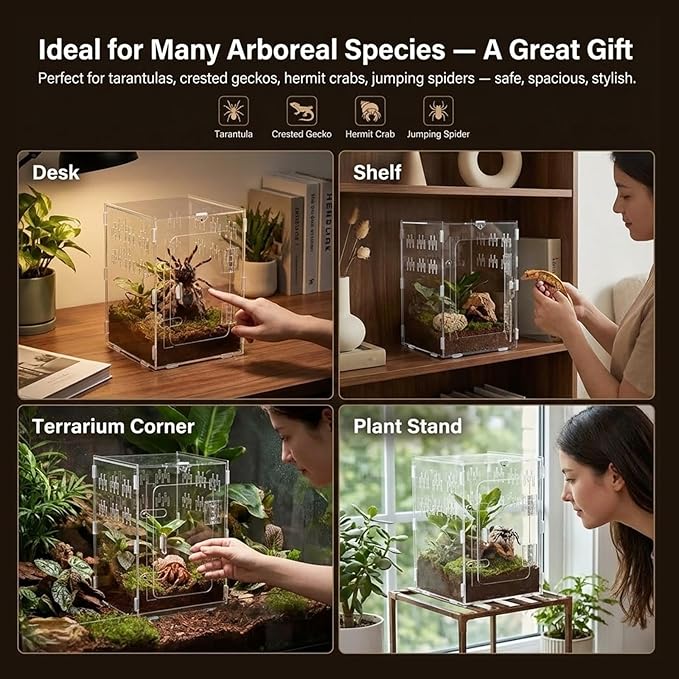 Tarantula Enclosure 8x8x12 Acrylic Terrarium: Front Opening Jumping Spider Enclosure with Door Lock for Crested Gecko Hermit Crab - All-Side Ventilation Arboreal Frog Habitat Gift for Reptile Hobbyist