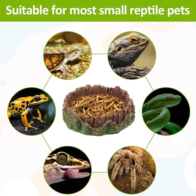 Bearded Dragon Food Bowl Small Reptile Water Dish, 2 Pack Reptile Bowl Feeding Large Food Bowls Water Dish for Hermit Crab Leopard Gecko Frog Tortoise Bearded Dragon Lizardtank Feeding(3 * 3 * 1in)