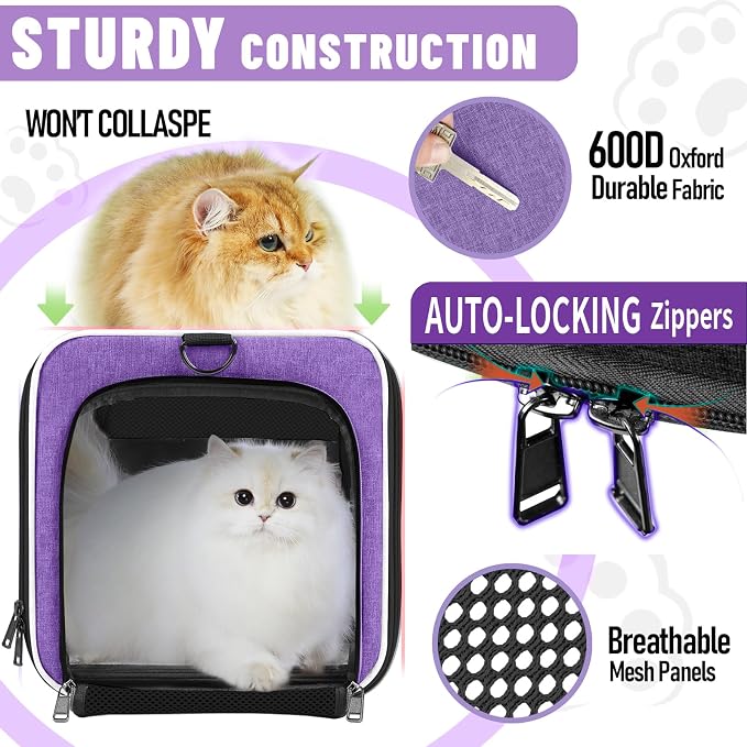 GAPZER Large Cat Carrier Soft, Collapsible Travel Pet Carry Bag, Small Dogs | Large Cats up to 20 lbs+ Maine Coon, Top Load Transport Small Puppy Dog Crate, Chihuahua Mini Dog 10lbs, Sturdy Fabric Pueple