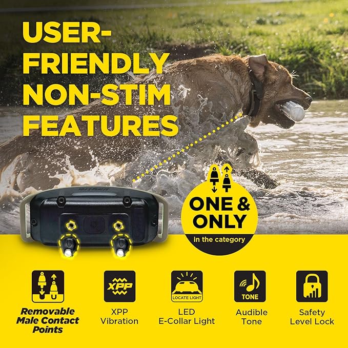 Dogtra 1900X 2-Dogs E-Collar with Remote - 3/4 Mile Range, 35 lbs+, LED Light, 100 Levels Control for Stubborn Dogs, Waterproof, Boost for Quick Recall, Vibration, Safety Lock & Tone