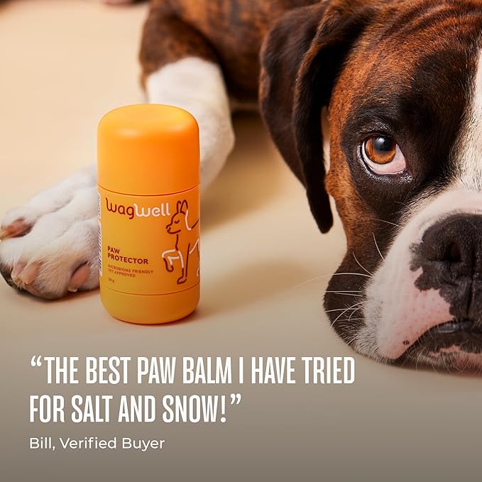 WagWell Paw Protector Dog Paw Balm | Lick-Safe, Vet-Approved Paw & Nose Balm | Microbiome-Friendly, Dermatologist Tested | Hot Pavement & Cold Weather Protection | To Hydrate, Condition & Protect Paws