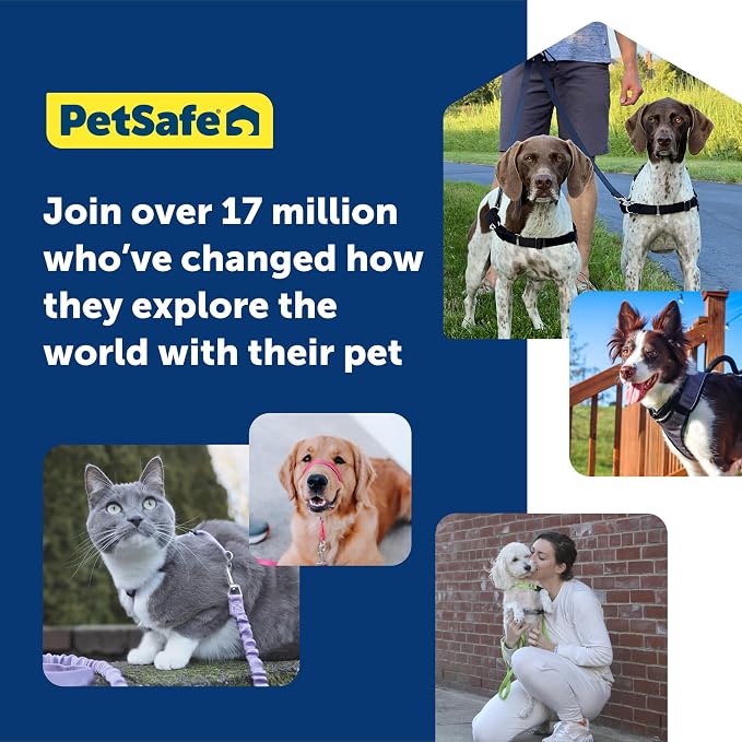 PetSafe Easy Walk Harness, No Pull Dog Harness, Royal Blue, Large | Patented Martingale Loop Gives Gradual Shoulder Pressure to Stop Pulling, Front-Chest Leash Clip Prevents Gagging