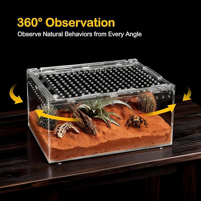 XLarge Reptile Terrarium Kit,Escape Proof Tarantula Enclosure,PC Starter Hermit Crab Tank,Spider Habitat for Praying Mantis Cage,Insect Housing,Lizard,Gecko Container,Bearded Dragon Vivarium