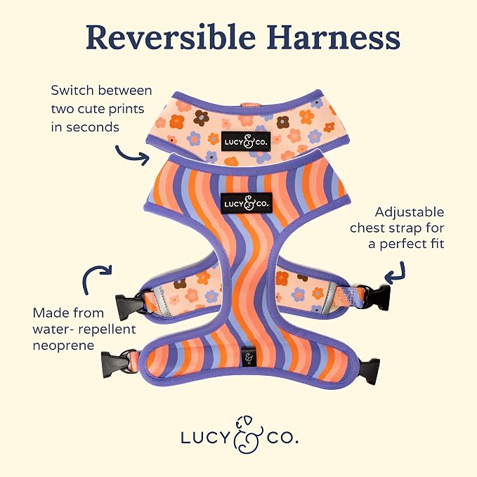 Lucy & Co. Reversible Dog Harness - Water-Repellent Neoprene, Dual-Print Design, Easy Swap Style, Adjustable Comfort Fit - Let's Groove Reversible Harness - X-Large