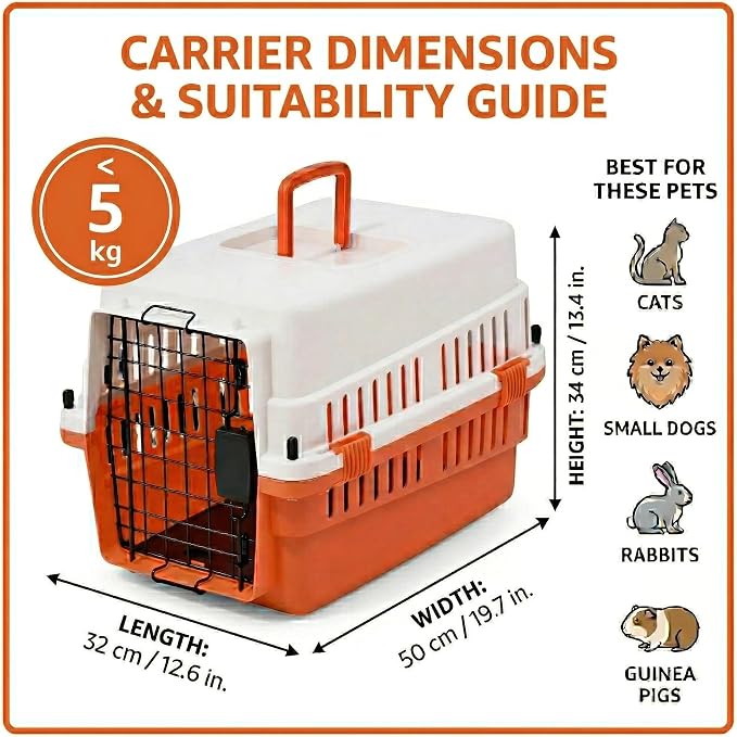 Hard-Sided Pet Carrier for Cats and Small Dogs, 20" Sturdy Travel Kennel with Secure Wire Door & 360° Ventilation, Portable Plastic Crate for Vet Visits & Car Travel (White/Orange)