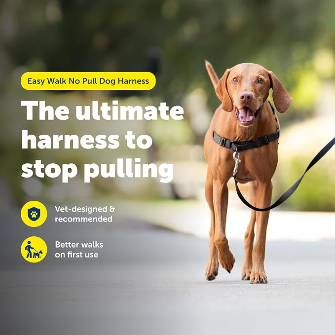 PetSafe Easy Walk Harness, No Pull Dog Harness, Black, Medium | Patented Martingale Loop Gives Gradual Shoulder Pressure to Stop Pulling, Front-Chest Leash Clip Prevents Gagging