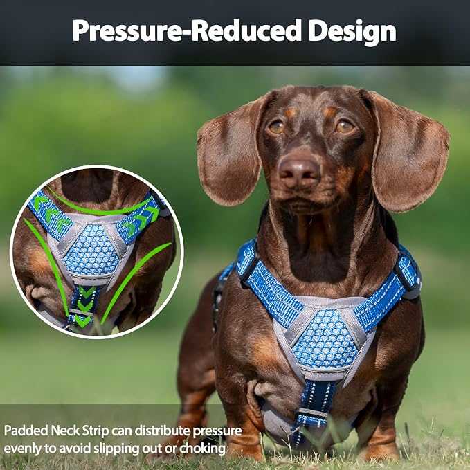 Escape Proof Dog Harness, Dachshund Harness, Reflective Dog Harness with Handle, Durable,Adjustable Vest for Small Medium Large Dogs Walking, Training, and Running Gear (Sea Blue,XL)