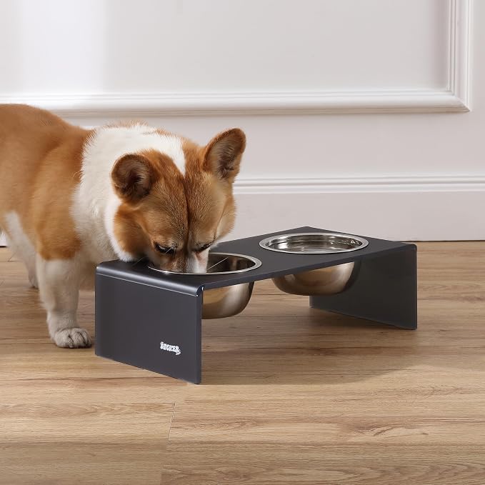 DBL2000J Keaton 5" Small/Medium Modern Acrylic Rectangular Elevated Pet Feeder with 20oz 2-Stainless Steel Bowls, Dark Gray/Chrome
