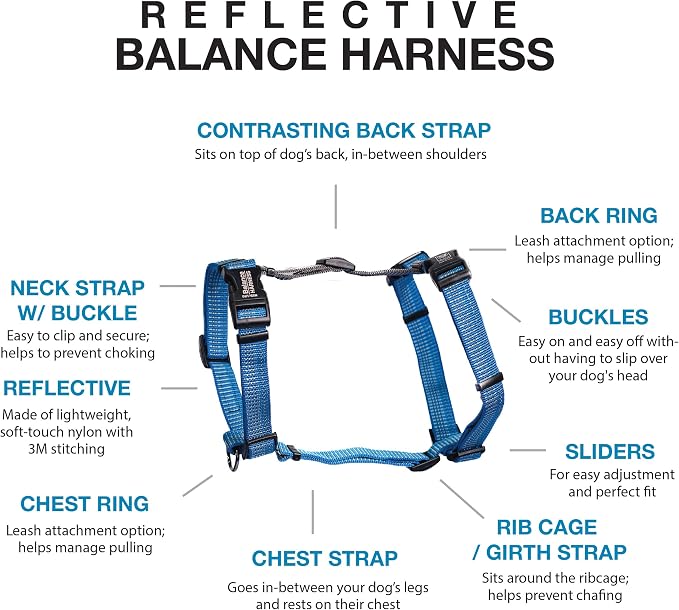 Blue-9 Reflective Buckle-Neck Balance Harness, Fully Customizable Fit No-Pull Harness with 3M Reflective Stitching, Ideal for Dog Training and Obedience, Made in The USA, Blue, Small