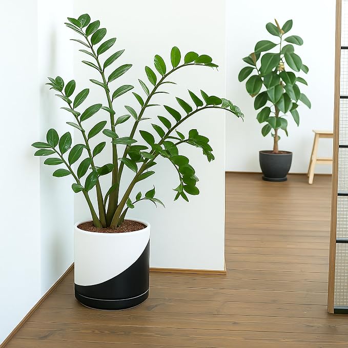 D'vine Dev 10 Inch Ceramic Planter Pot, Black White Diagonal, 94-O-E-K | Modern Cylinder Design, Drainage Hole & Saucer Included, Stable Structure, Elegant Home Accent