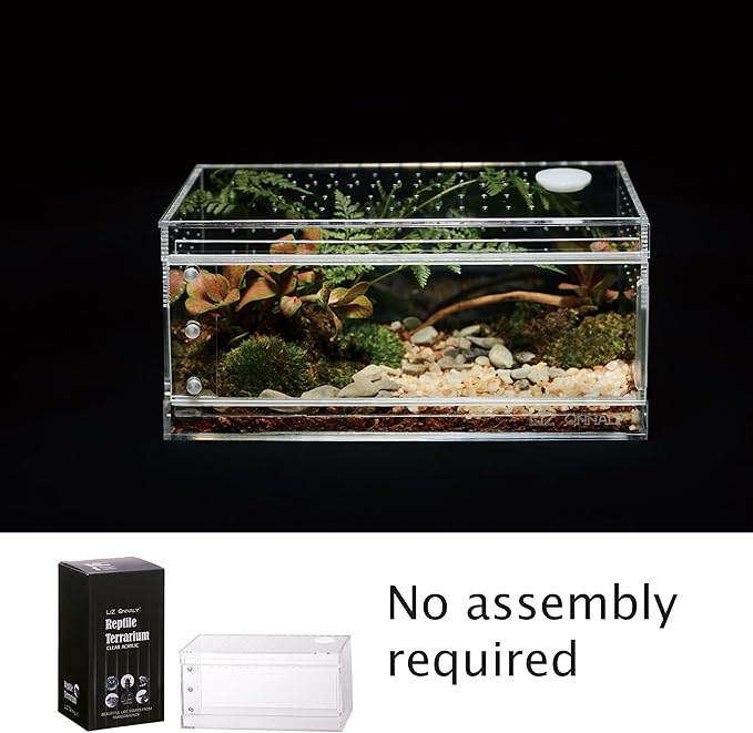 Acrylic Terrarium for Reptiles & Spiders – Small/Medium/Large Leak-Proof Enclosure (Horizontal/Vertical) | Ideal for Tarantulas, Jumping Spiders, Frogs & Geckos(Small, Horizontal)