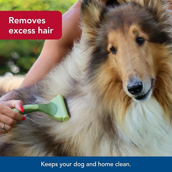Coastal Pet Safari Shed Magic Deshedding Tool for Dogs with Medium to Long Hair - Deshedding & Detangling Dog Brush - Medium