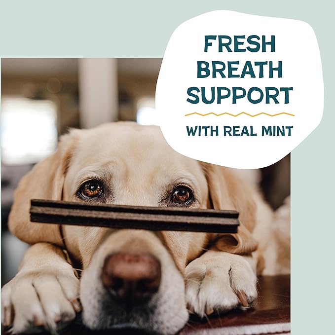 Shameless Pets Bone Broth, Banana, & Mint Dental Chews for Dogs, 32 Chews - Natural Dog Teeth Cleaning Treats with Fresh Breath Benefits | Grain-Free Dental Sticks for Small, Medium & Large Dogs