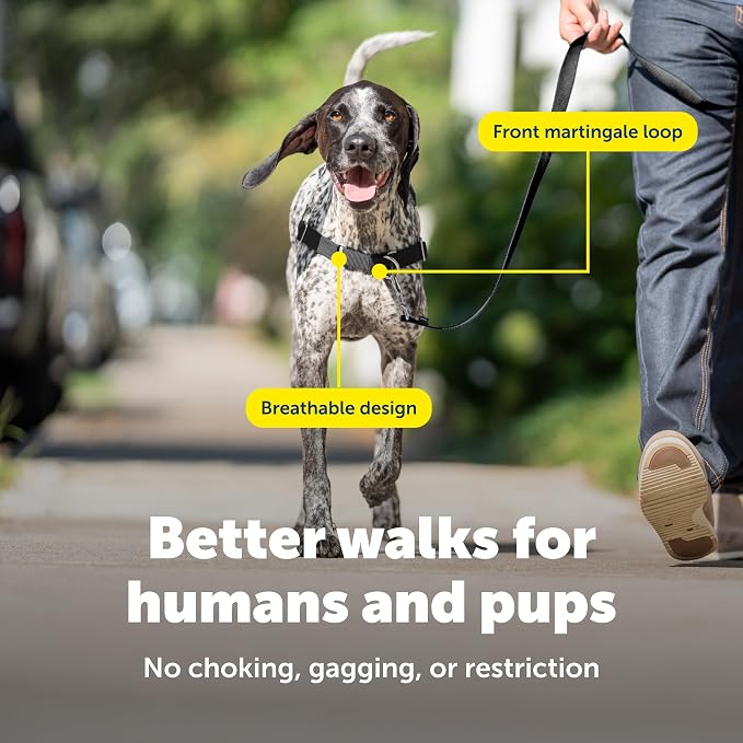 PetSafe Easy Walk Harness, No Pull Dog Harness, Royal Blue, Medium/Large | Patented Martingale Loop Gives Gradual Shoulder Pressure to Stop Pulling, Front-Chest Leash Clip Prevents Gagging
