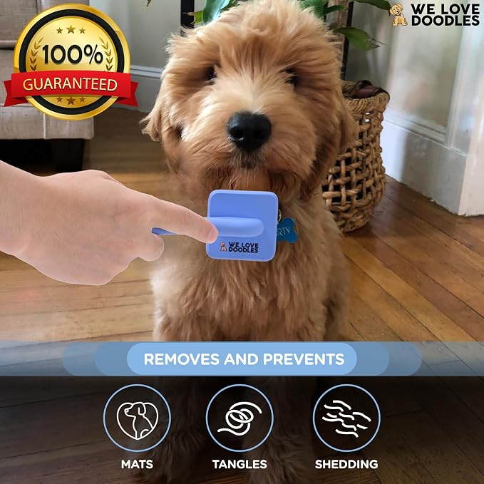 Slicker Brush for Dogs, Pet Grooming Brushes for Doodles & Poodles, Small | Best Brush For Long Haired Dogs, Dematting Comb & Deshedding Tools For Goldendoodle Coats, Puppy Matting Grooming Supplies