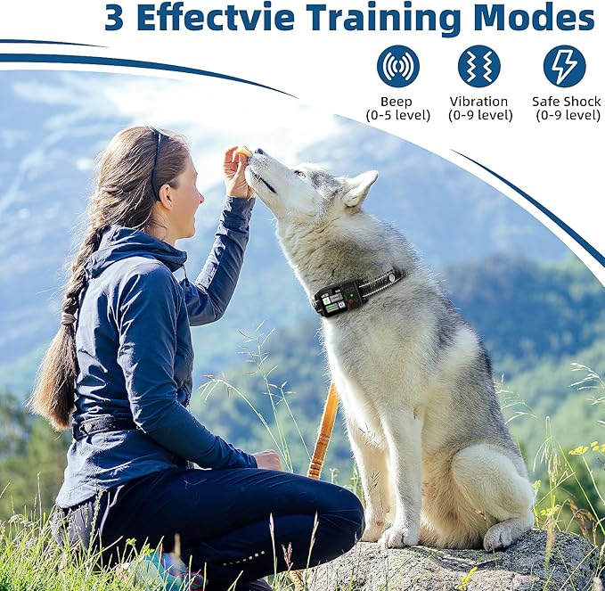 GPS Wireless Dog Fence, Electric Fence for Dogs, Electric Dog Fence with 3 Warning Strength, Range 49-6561ft, IP67 Waterproof, Rechargeable Pet Containment System for Outdoor Use Only