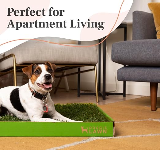 DoggieLawn Real Grass Dog Pee Pads w/ Tray - Medium Dog Potty Pad 24x20 | No-cleaning, odor-reducing puppy potty training pad for housebreaking, indoor or outdoor use, real grass, replace when needed
