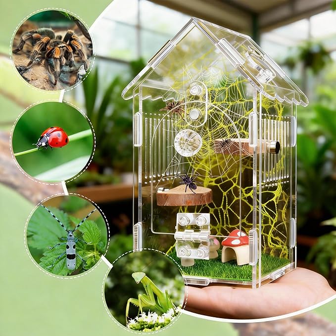 Hysagtek Jumping Spider Enclosure, Acrylic Arboreal Tarantula Enclosure Small Reptile Terrarium with Magnetic Door, Clear Jumping Spider Enclosure Accessories