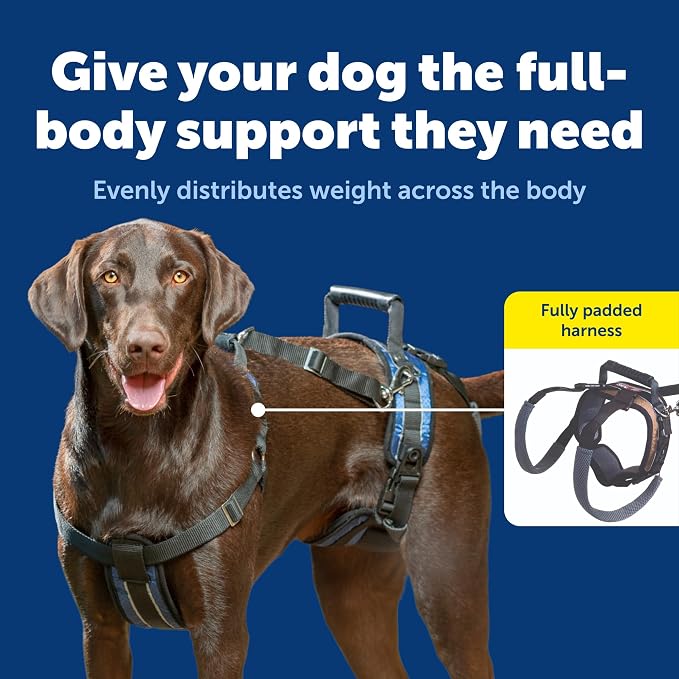 PetSafe CareLift Dog Lift Harness, Full Body, Large | Lift Sling for Dogs, Full-Body Support for Elderly, Arthritic or Recovering Dogs, Padded Shoulder Strap, Machine Washable