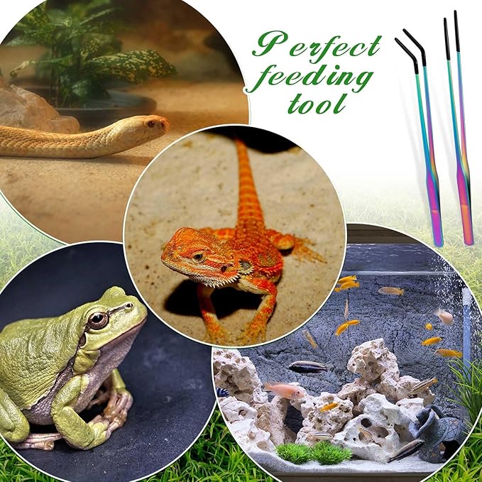 Lasnten 2 Pcs Extra Long Stainless Steel Reptile Feeding Tongs with Rubber Tip 10 Inch, 10.5 Inch Bearded Dragon Aquarium Straight and Curved Long Tweezer Terrarium Feeder Tool for Tank(Colorful)