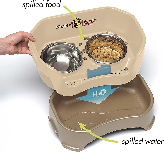 Neater Feeder Deluxe Mess-Proof Elevated Dog Bowls for Small Dogs (Up to 19 lbs), 2 Height Adjustable (6” & 7.5”) No-Spill Raised Dog Bowl Stand, Stainless Steel Food Bowl Set, Made in USA, Cappuccino