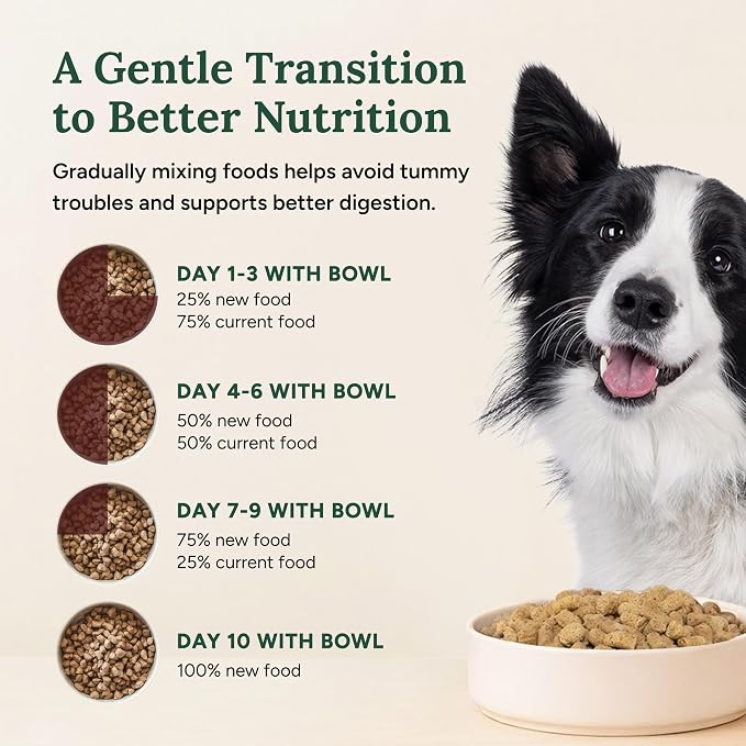 360 Pet Nutrition Freeze-Dried Raw Dog Food – Multi-Protein with Beef, Chicken, Fish & Organs, High Protein, Omega-3s, Fruits, Veggies & Superfoods, Grain-Free, No Fillers 4 x 16 oz Made in USA