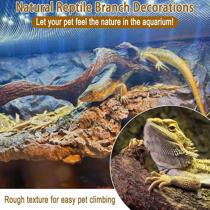 BNOSDM Reptile Forest Climbing Branch Decor 8PCS Crested Gecko Climb Wood Natural Branches Tree for Snake Frog Chameleon Spider Bearded Dragon Terrarium Habitat Tank Accessories