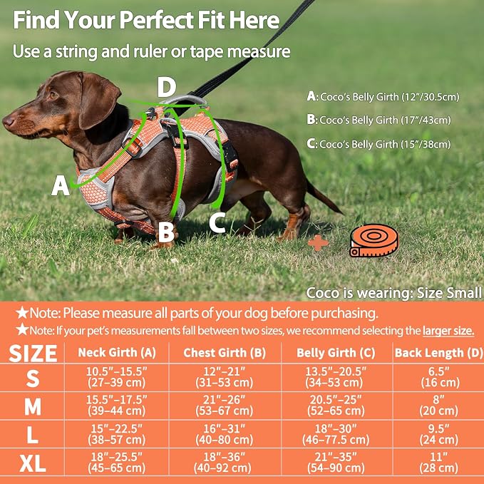 Escape Proof Dog Harness, Dachshund Harness, Reflective Dog Harness with Handle, Durable,Adjustable Vest for Small Medium Large Dogs Walking, Training, and Running Gear (Orange,S)