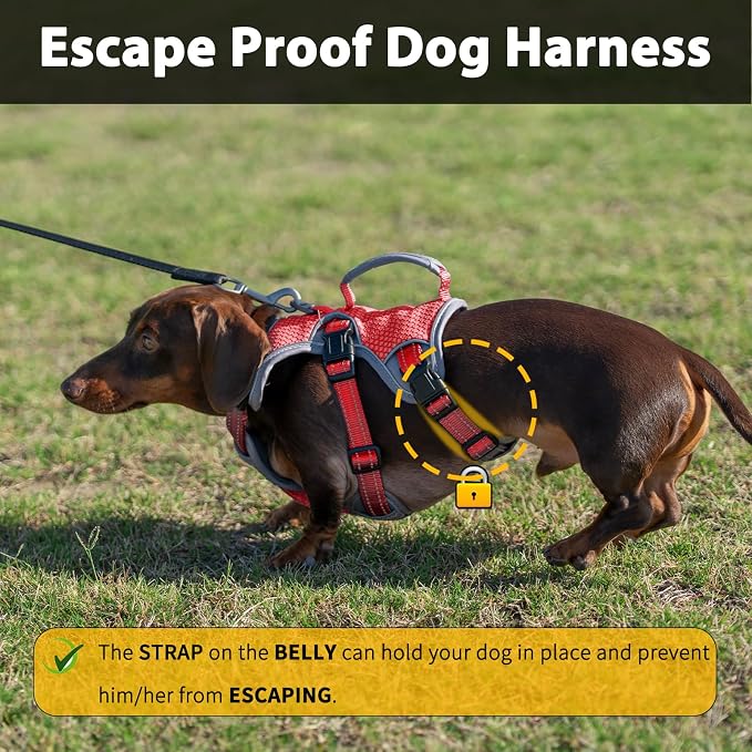 Escape Proof Dog Harness, Dachshund Harness, Reflective Dog Harness with Handle, Durable,Adjustable Vest for Small Medium Large Dogs Walking, Training, and Running Gear (Red,XL)