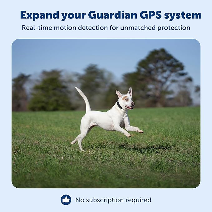 PetSafe Guardian GPS Dog Fence Add-A-Dog Collar - Add-On for Guardian GPS Fence System - AccuGuard Technology - Tone Vibration & 10 Levels of Static Correction - Waterproof Collar - Black