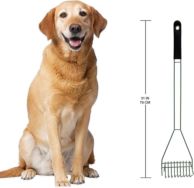 Four Paws Wee-Wee Pooper Scoopers for Dogs l Outdoor Rake l Spade & Pan l Pooper Scooper Set