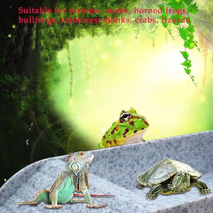 kathson Reptile Tortoise Turtle Feeding Dish with Ramp and Basking Platform Plastic Turtle Food and Water Bowl Also Fit for Bath Horned Frogs Lizards Amphibians(White, Emulational Granite)