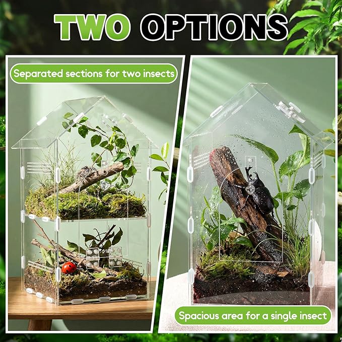 Acrylic Jumping Spider Enclosure,7.9"×7.5"×13.8", 2-Layer Arboreal Tarantula Enclosure with Partition & Feeding Hole, for Gecko Amphibians Chameleon & Small Reptiles