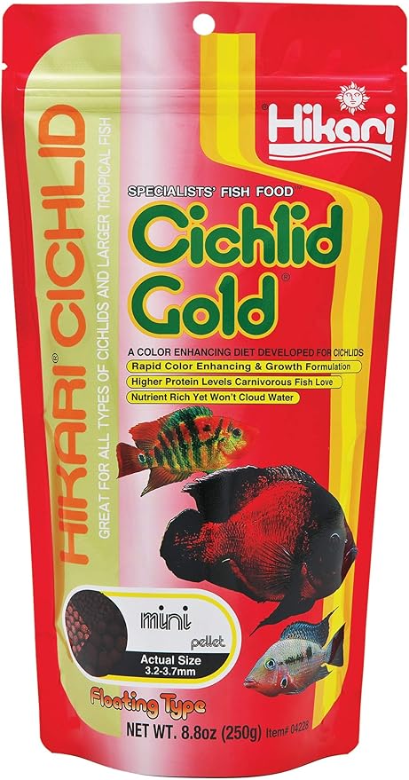 Hikari 8.8-Ounce Cichlid Gold Floating Pellets for Pets, Mini
