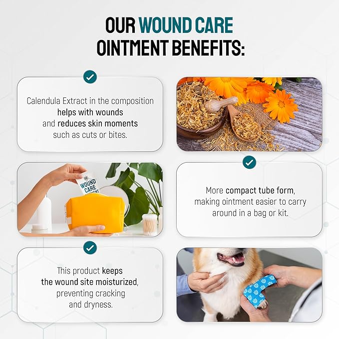 Dog Wound Care Ointment with Silver & Calendula – Aids with Scratches, Irritations, Bites – Feline & Canine Hot Spots Treatment in a Gel Form – Wound Antibiotic Ointment for Dogs & Cats in 2-oz Tube