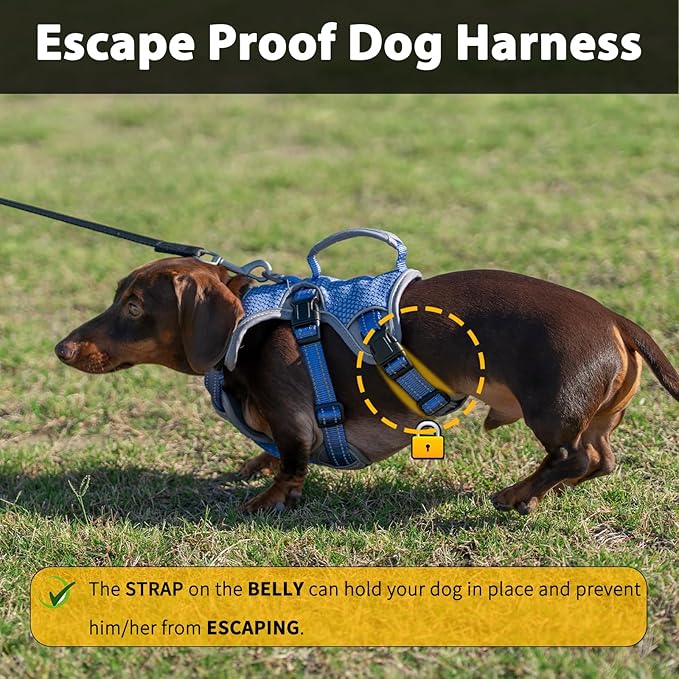 Escape Proof Dog Harness, Dachshund Harness, Reflective Dog Harness with Handle, Durable,Adjustable Vest for Small Medium Large Dogs Walking, Training, and Running Gear (Technicolor Blue,S)