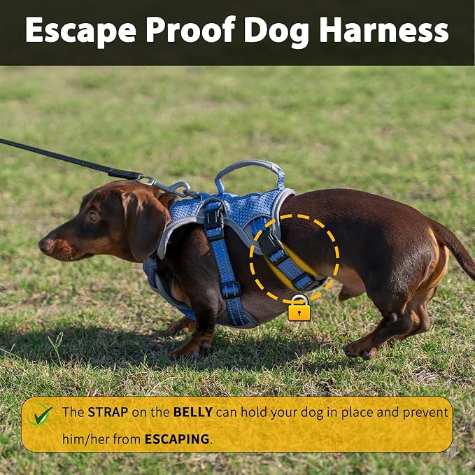 Escape Proof Dog Harness, Dachshund Harness, Reflective Dog Harness with Handle, Durable,Adjustable Vest for Small Medium Large Dogs Walking, Training, and Running Gear (Technicolor Blue,XL)