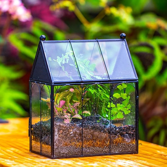 NCYP Small Glass Terrarium Enclosure with Mesh for Jumping Spiders, Micro House Shaped Small Spiders Vented Glass Terrarium, Home Decor Black, 5.8" x 3.8" x 7" (No Plants)