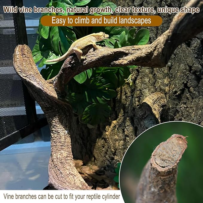 BNOSDM Reptile Forest Climbing Branch Decor 8PCS Crested Gecko Climb Wood Natural Branches Tree for Snake Frog Chameleon Spider Bearded Dragon Terrarium Habitat Tank Accessories
