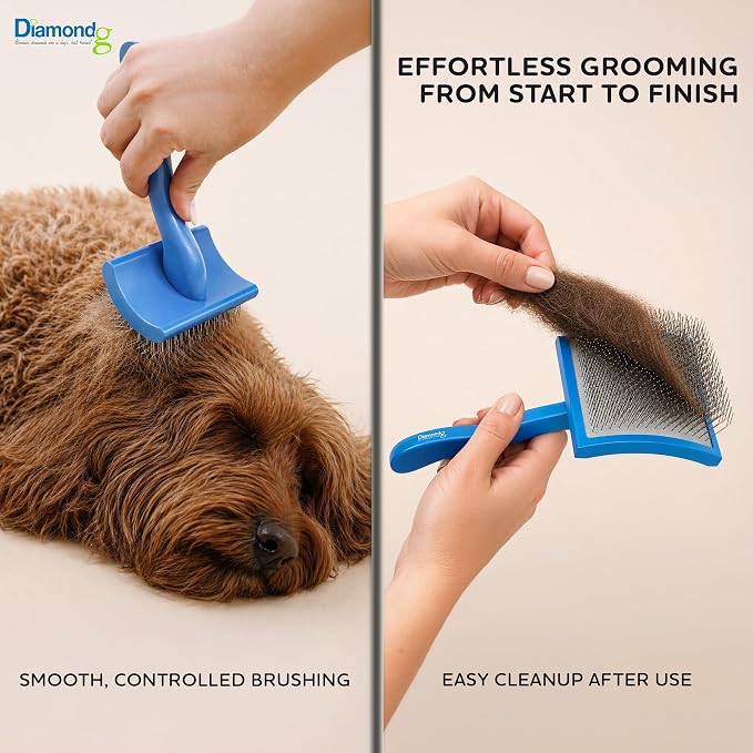 Diamondg Pet Slicker Brush for Dogs & Cats – Professional Grooming Brush for Shedding, Detangling & Coat Maintenance, Gentle Fine Wire Pins, Ergonomic Handle, Blue