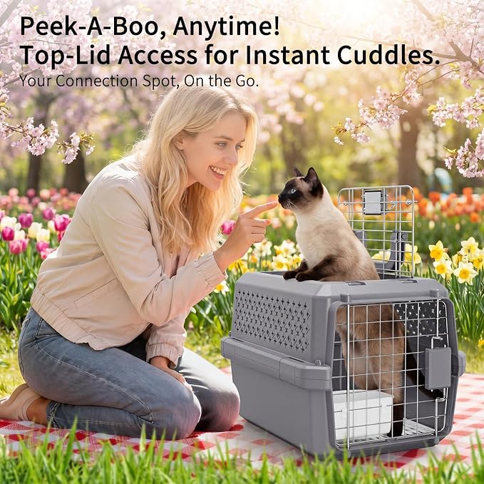 RIZZARI Portable Cat Carrier for Small Cats & Dogs:Secure Hard-Sided Pet Carrier with Ventilation - Metal Door & Carry Handle for Travel - Vet Visits & Daily Use
