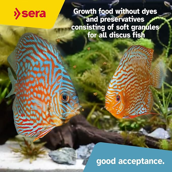 sera Discus Prob Granules 4 oz. | Complete Growth Food for Discus Fish | with Probiotics & Astaxanthin | No Dyes & Preservatives Consisting of Soft Granules | Supports Immune System