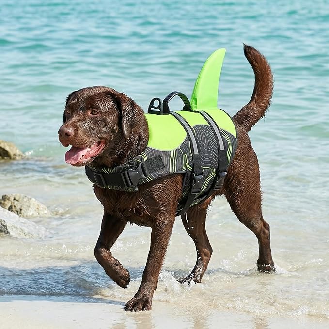 Shark Dog Life Vest for Swimming, Pet Life Vests for Boating, High Buoyant DogLife Jacket, Ripstop High Flotation Swimsui for Small, Medium, Large Dogs (Greenblack,XS)
