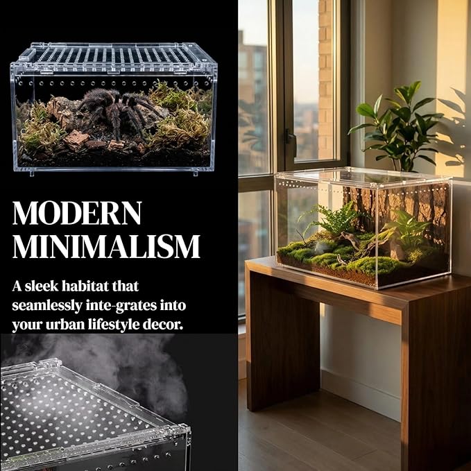 12x8x6 Inch Terrarium with Magnetic Top Sliding Lid, Clear View Critter Keeper & Spider Enclosure, Jumping Spider/Tarantula Habitat, Hermit Crab Tank, Tadpole to Frog Kit