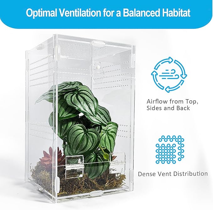 Jumping Spider Enclosure 6”x6”x10”, Arboreal Tarantula Enclosure, Praying Mantis Terrarium Critter Cage for Jumping Spider, Tarantula, Mantis, Snail, Isopods, Beetles, Millipedes