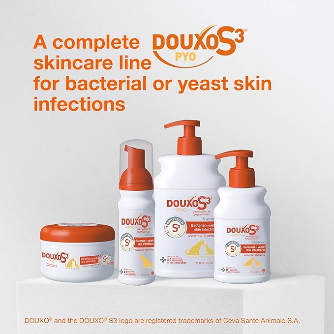 DOUXO S3 PYO Combo Set - Shampoo (6.7 oz) & Mousse (5.1 oz)