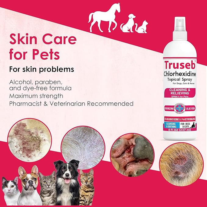 Truseb Advanced Strength Medicated Chlorhexidine for Dogs Cats Horses Skin Spray with Aloe Vera - Medicated Ketoconazole Spray for Skin Irritation, Hot Spots, Redne (Medicated Ketoconazole Spray, 8oz)