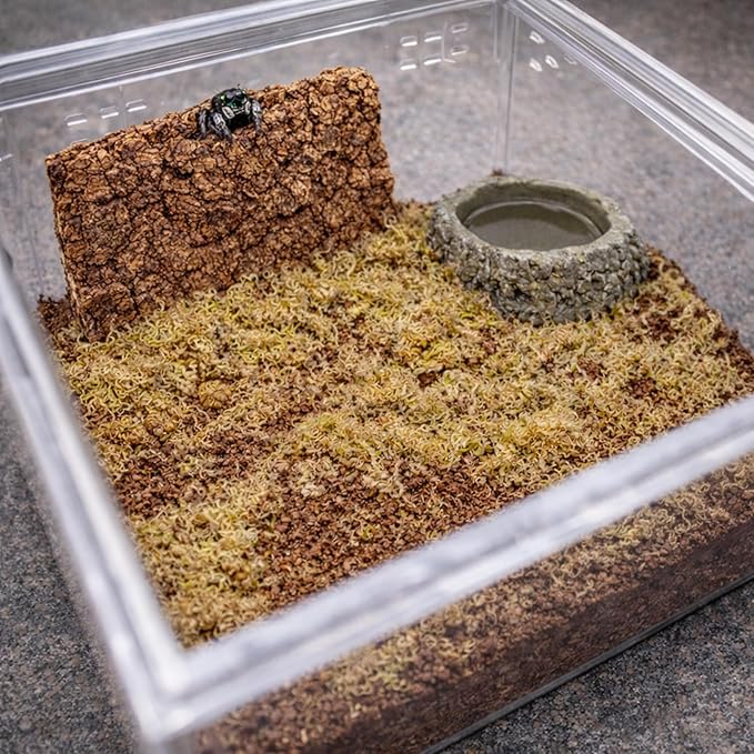 Tarantula Rehousing Supply Kit - Coco Fiber Substrate, Moss, Cork Bark Hide & Water Dish - Essential Terrestrial Tarantula Setup