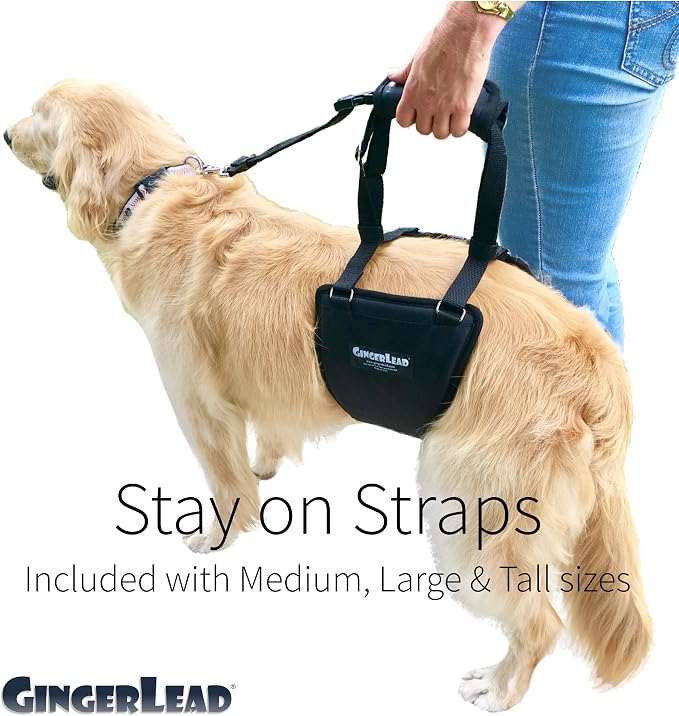 Dog Support Sling Rear Harness, Large Female, Machine Wash & Dry | Padded Rear Lift, Integrated Leash, Assist Senior K9s or Recovery from Knee/TPLO, Hip or Back Surgery, Made in U.S.A.