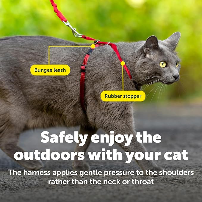 PetSafe Come With Me Kitty Harness and Bungee Leash, Harness for Cats, Large, Red/Cranberry (CWMK-L-RED) | Adjustable 2-Point Fit Applies Gentle Pressure to Shoulders, Not Neck, for Average and Large Cats with 13 in - 18 in Girth